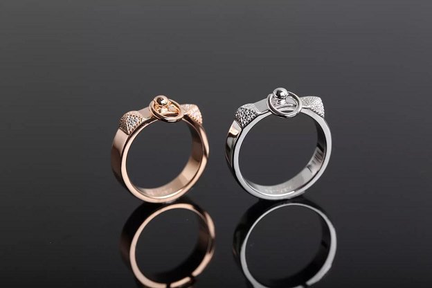 Hermes collier de chien ring H115608