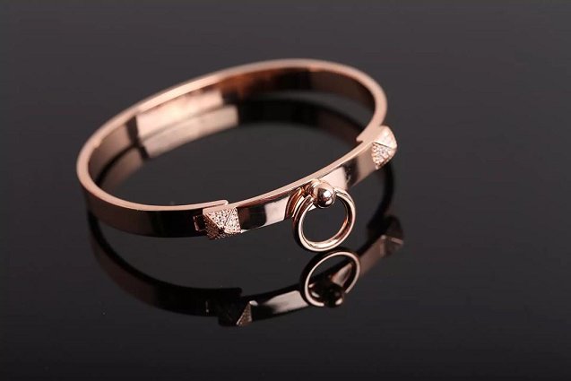 Hermes Collier de Chien bracelet H213414