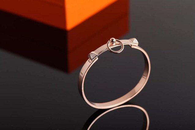 Hermes Collier de Chien bracelet H213414