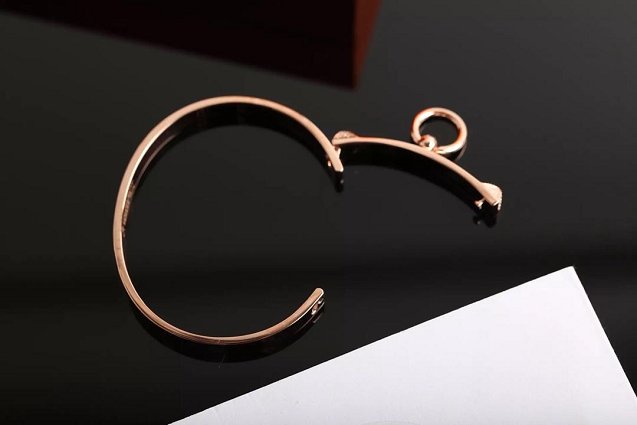 Hermes Collier de Chien bracelet H213414