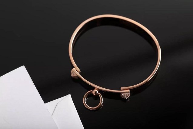 Hermes Collier de Chien bracelet H213414