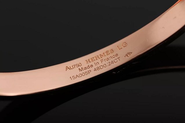 Hermes Collier de Chien bracelet H213414