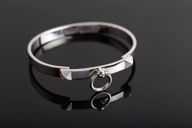 Hermes Collier de Chien bracelet H213414
