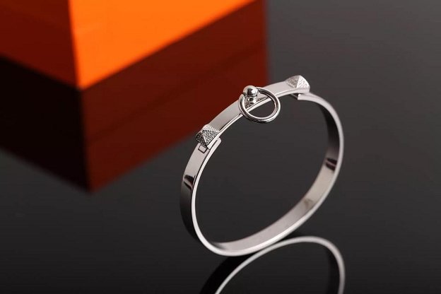 Hermes Collier de Chien bracelet H213414