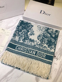 2020 Dior top quality cashmere blanket D133 green