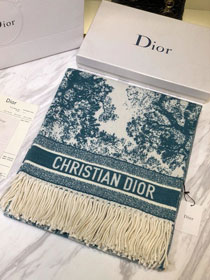 2020 Dior top quality cashmere blanket D133 green