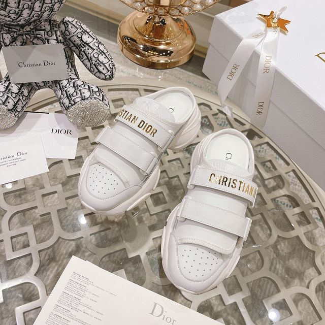 Dior original lambskin sneaker DS0101
